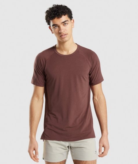 Men's Gymshark Studio Amplify T-Shirts Brown | NZ 2EIKOM